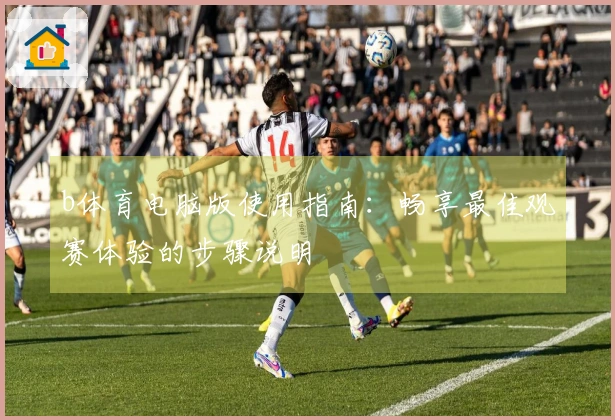 b体育电脑版使用指南：畅享最佳观赛体验的步骤说明