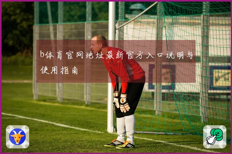b体育官网地址最新官方入口说明与使用指南