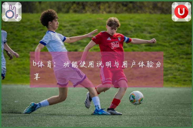 b体育：功能使用说明与用户体验分享