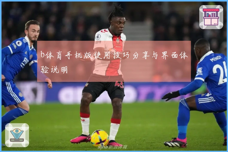 b体育手机版使用技巧分享与界面体验说明